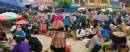 Sapa trekking and Bac Ha Market - TL217 BOOKING